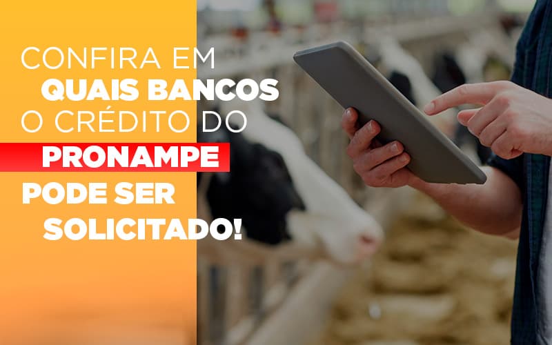 Confira-em-quais-bancos-o-credito-pronampe-ja-pode-ser-solicitado